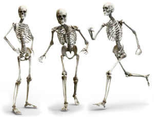 Biomechanics of runners