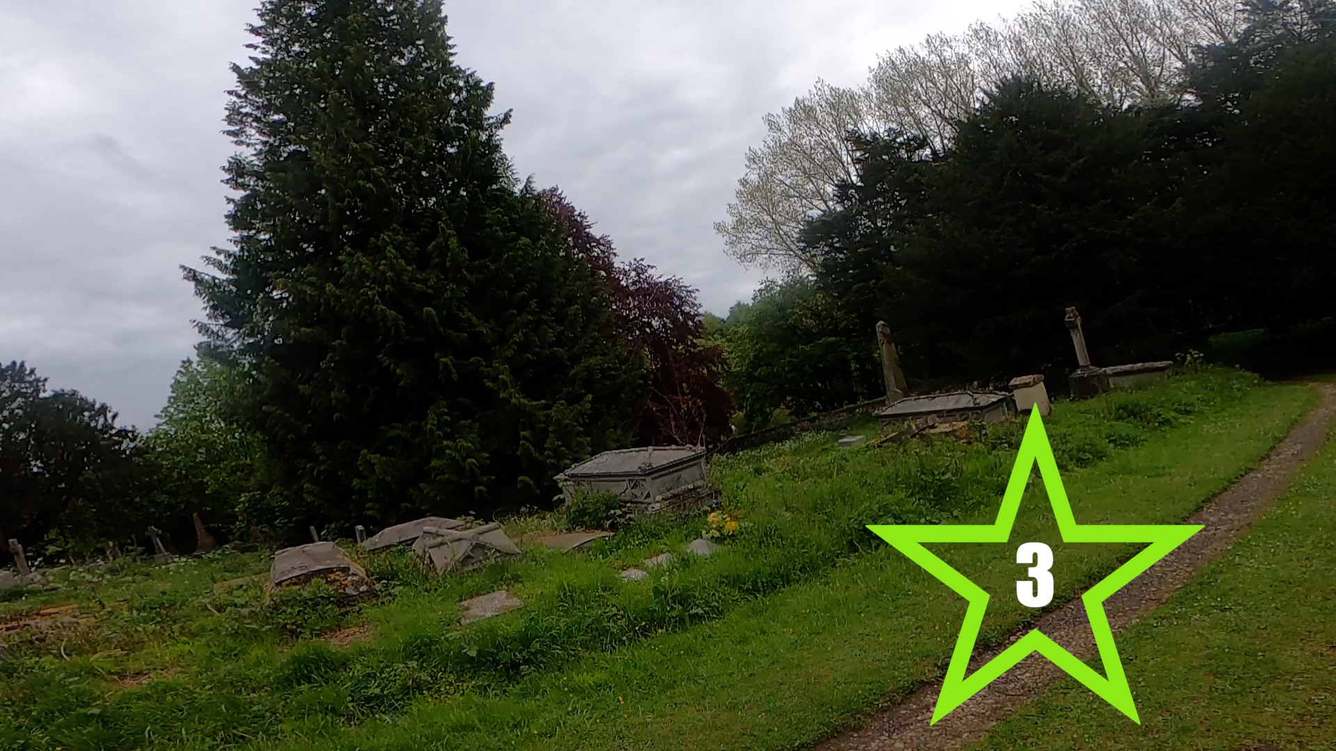 Social Run 13th May
