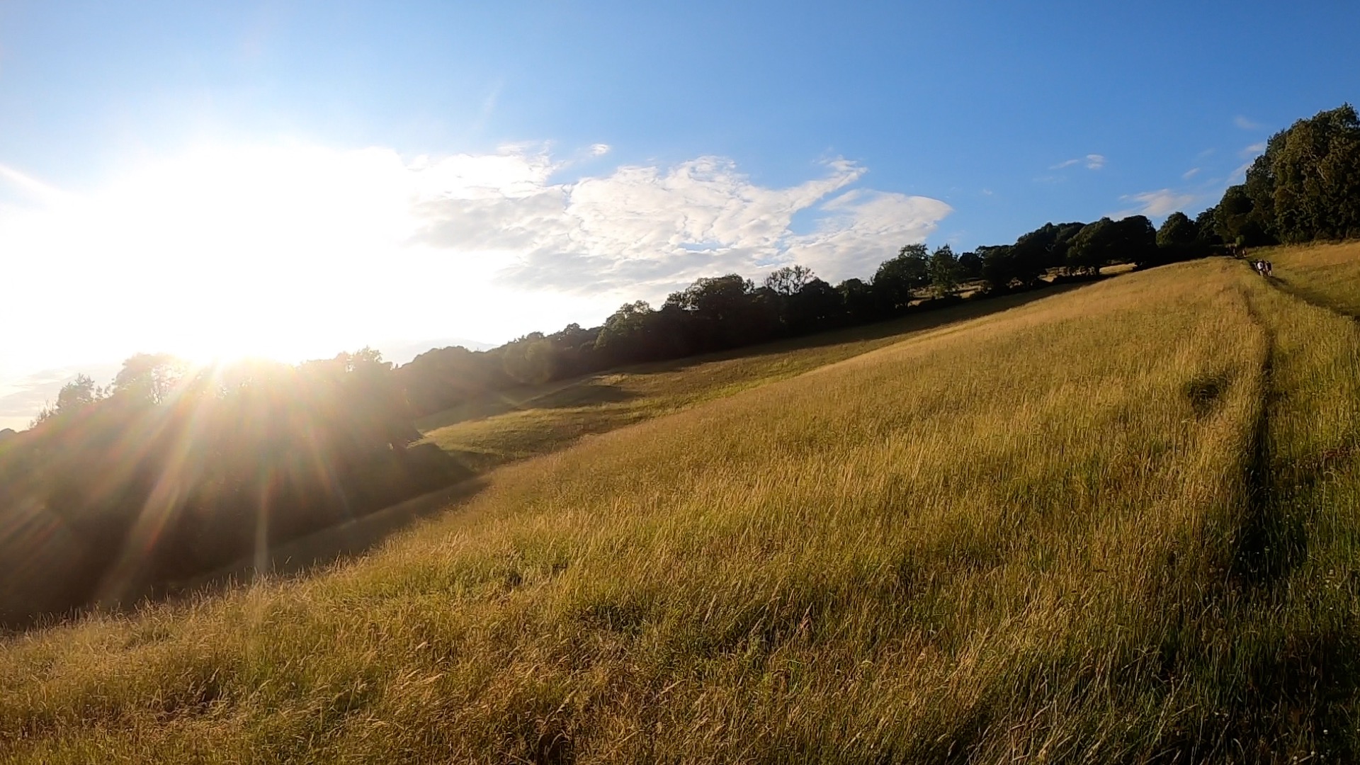 Social Run 8th July landscape